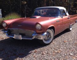 Frank Celli – 1957 Ford T-Bird