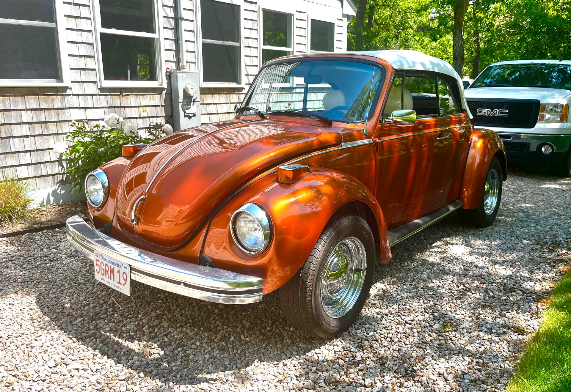 Stephanie venancio super beetle